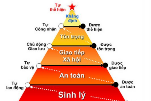 Tháp nhu cầu Maslow là gì? Ứng dụng thực tiễn cuộc sống